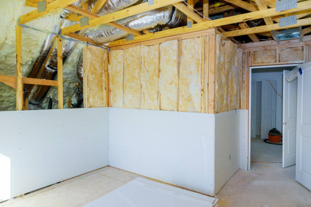 Best Eco-Friendly or Green Insulation Solutions  in Riverton, IL